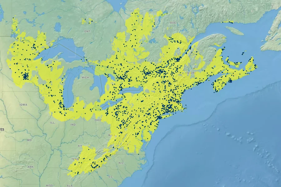 Aronia melanocarpa Native Range