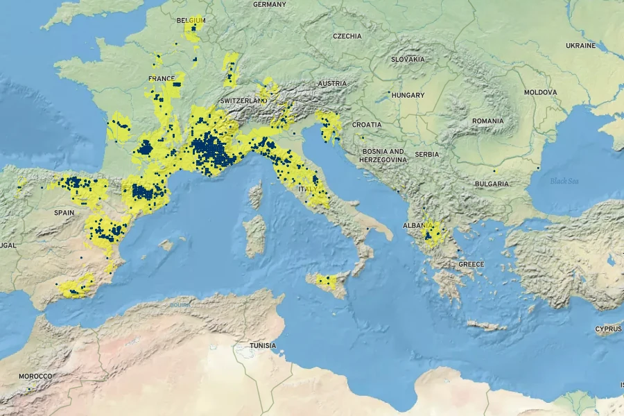 Artemisia alba Native Range