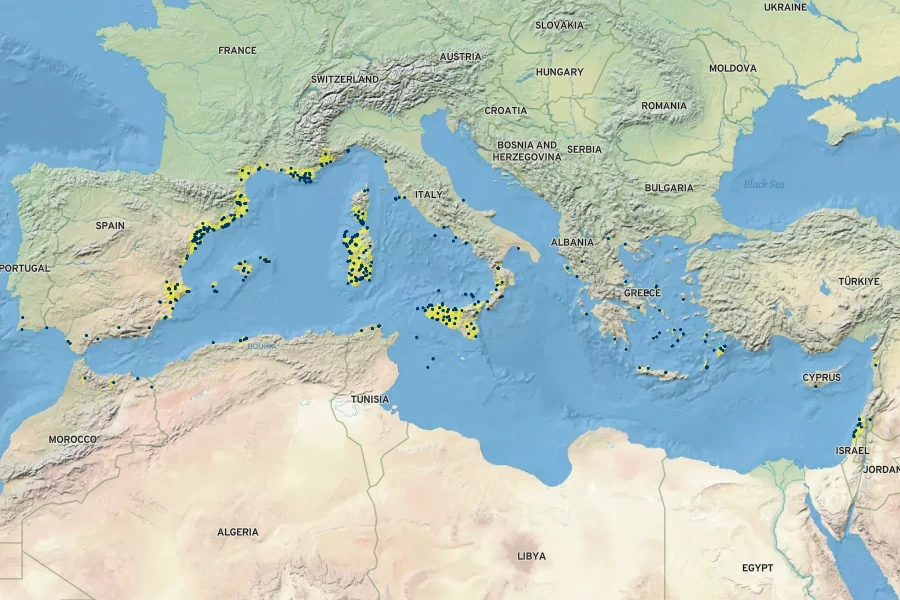 Artemisia arborescens Native Range