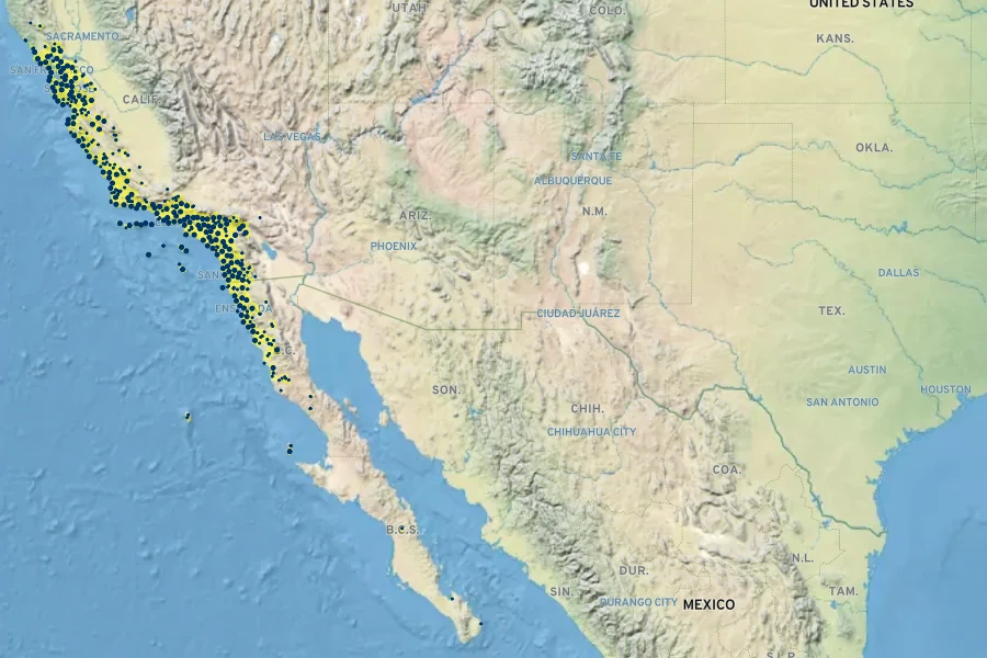 Artemisia californica Native Range