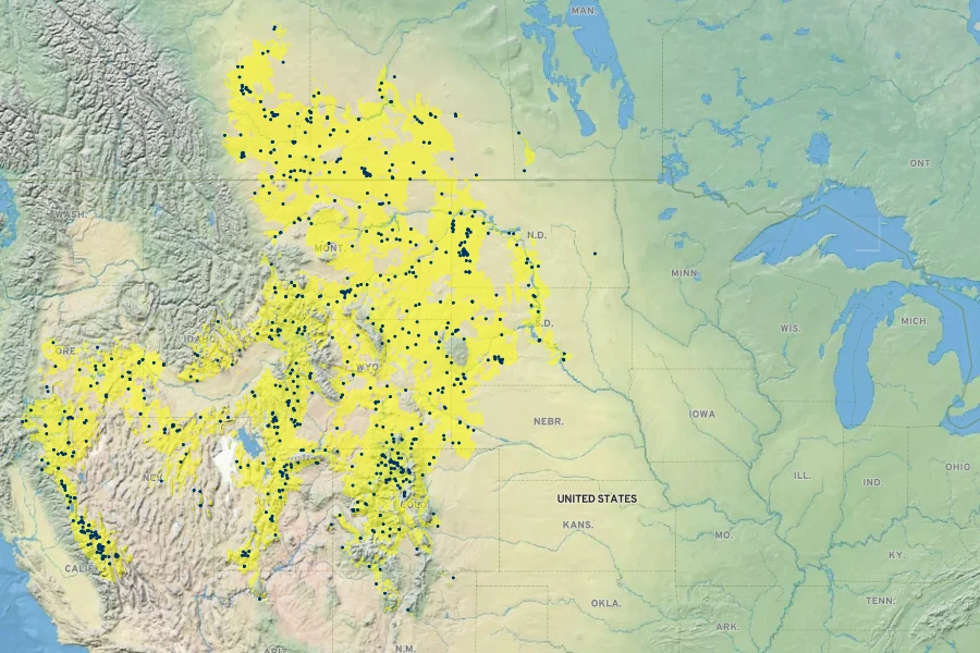 Artemisia cana Native Range