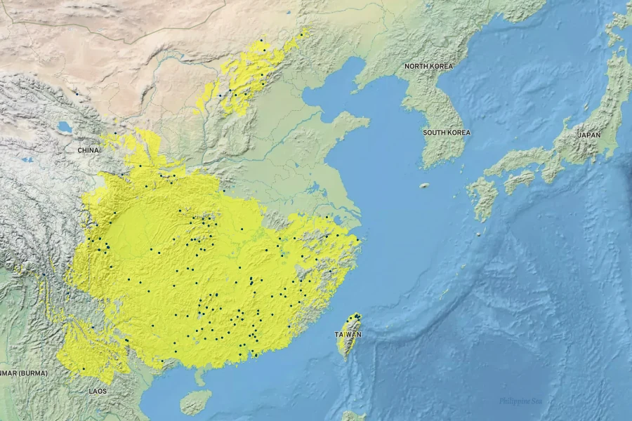Artemisia lactiflora Native Range