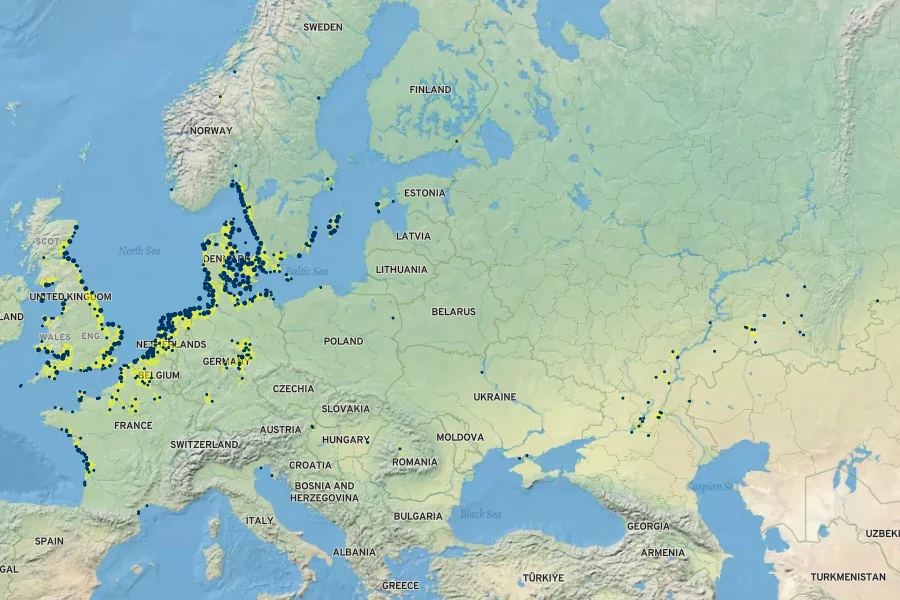 Artemisia maritima Native Range