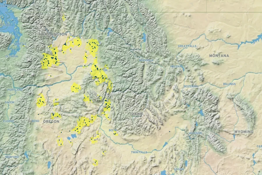 Artemisia rigida Native Range