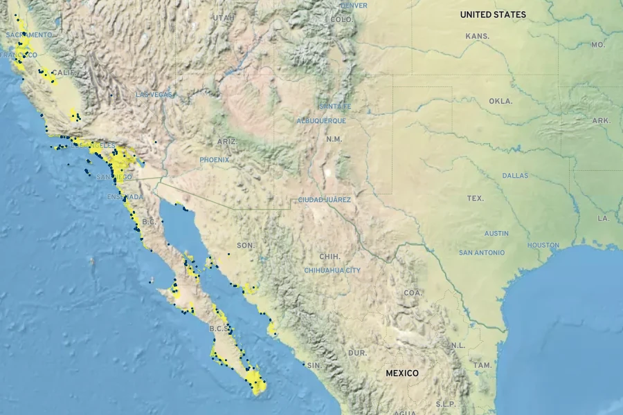 Arthroceras subterminale Native Range