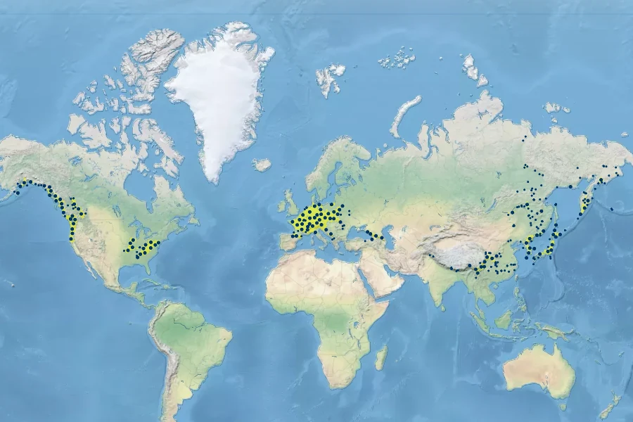 Aruncus dioicus Native Range