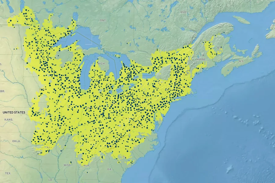 Asarum canadense Native Range