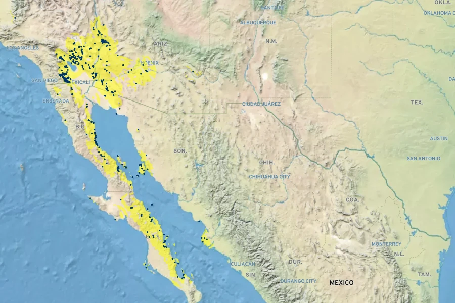 Asclepias albicans Native Range