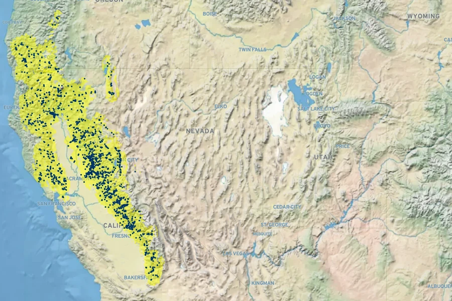 Asclepias cordifolia Native Range