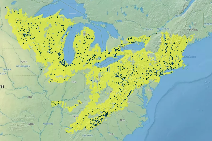 Asclepias exaltata Native Range