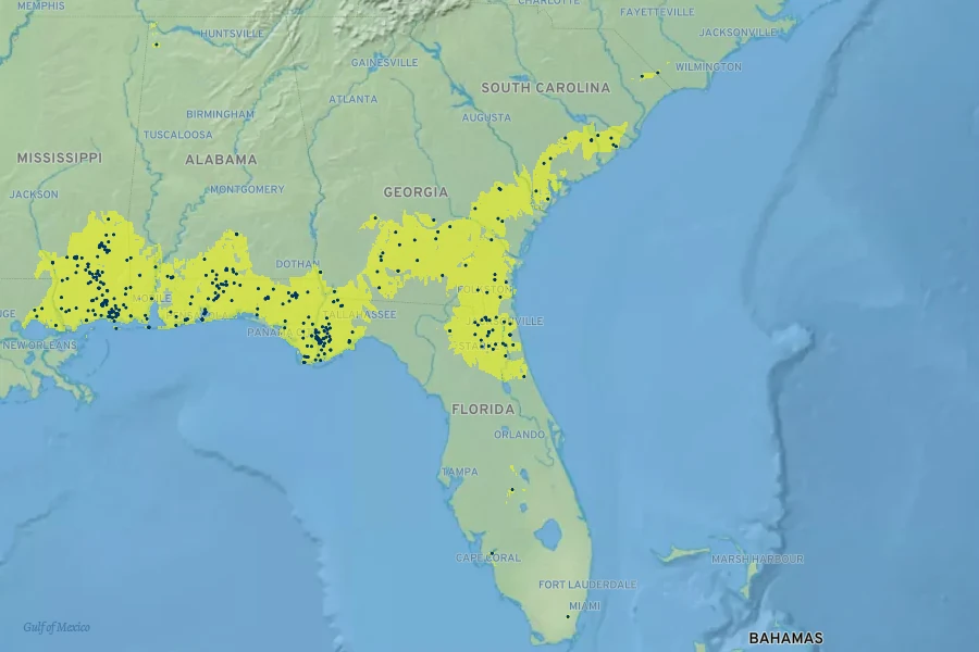 Asclepias michauxii Native Range
