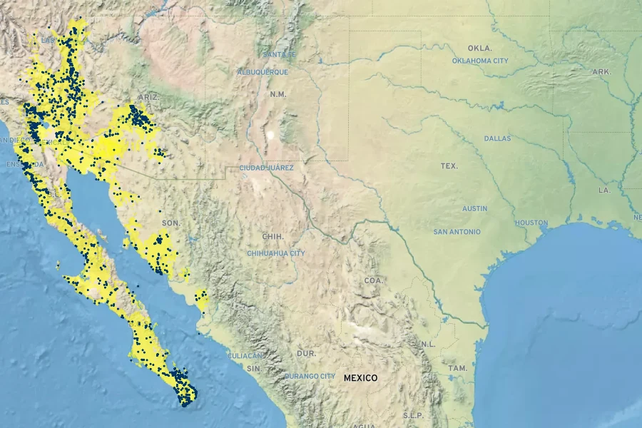 Asclepias subulata Native Range