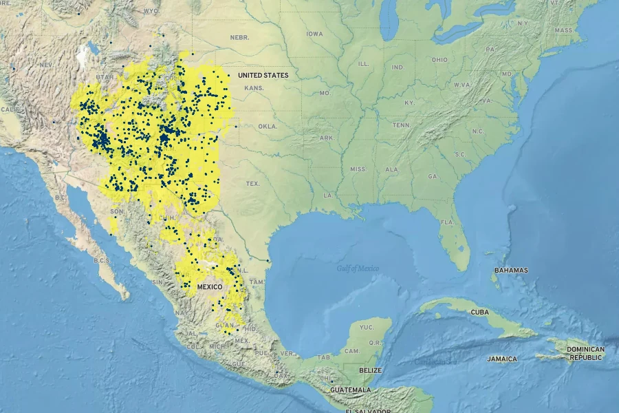 Asclepias subverticillata Native Range