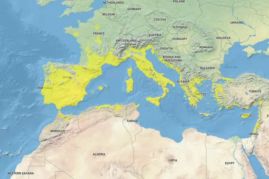 Asparagus acutifolius Native Range