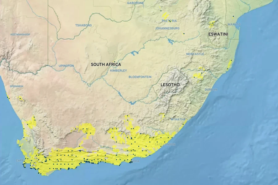 Asparagus aethiopicus Native Range