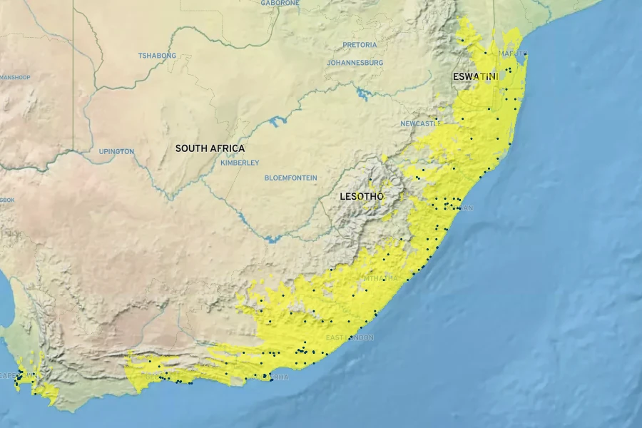 Asparagus densiflorus Native Range