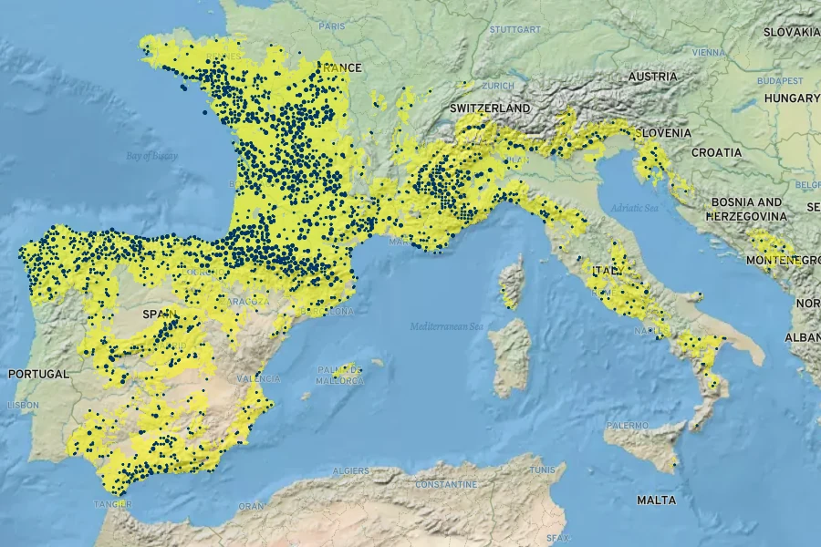 Asphodelus albus Native Range