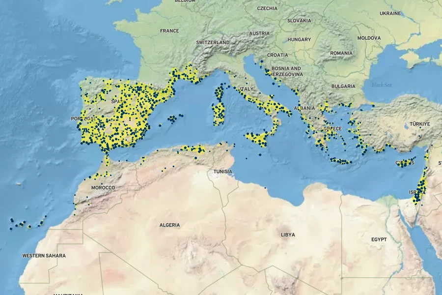 Asphodelus ramosus Native Range