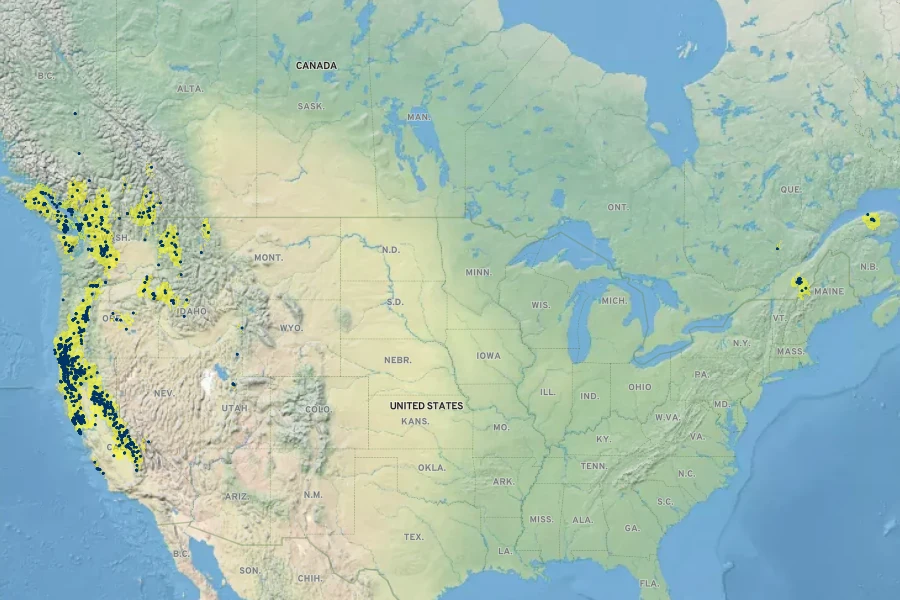Aspidotis densa Native Range