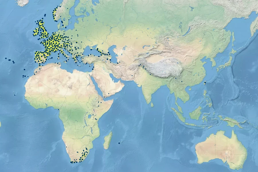 Asplenium adiantum-nigrum Native Range