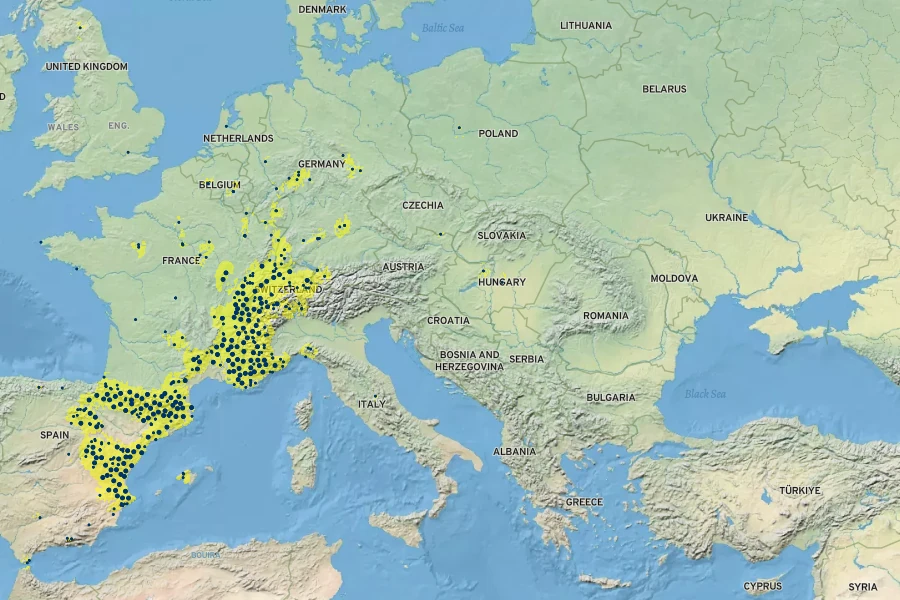 Asplenium fontanum Native Range