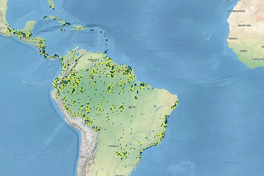 Asplenium serratum Native Range