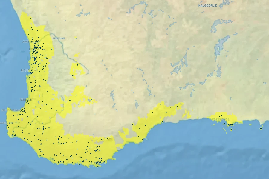 Astartea fascicularis Native Range