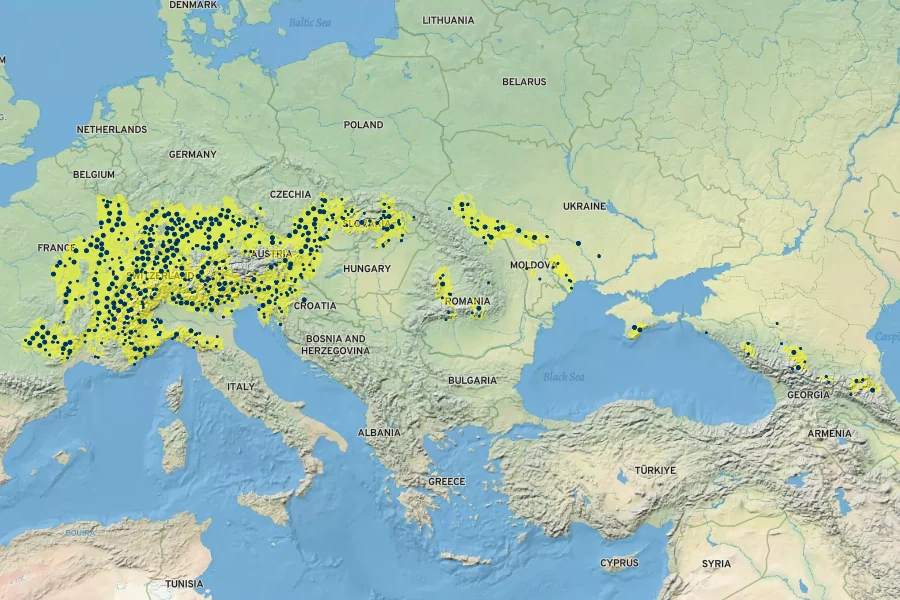 Aster amellus Native Range