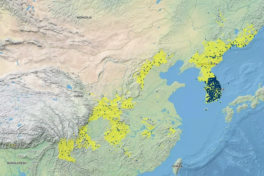 Astilbe rubra Native Range