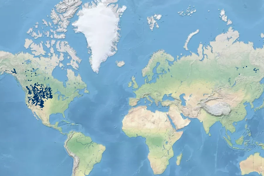 Astragalus agrestis Native Range