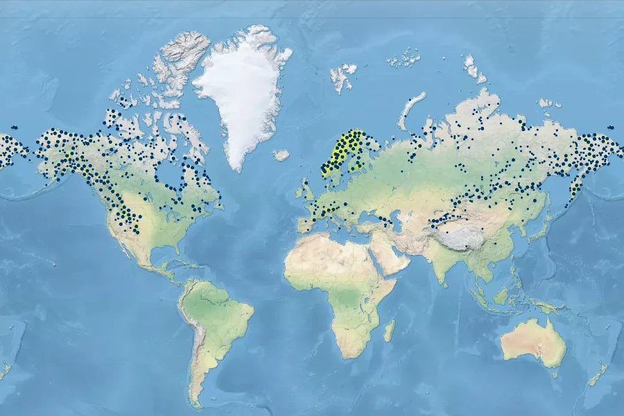 Astragalus alpinus Native Range