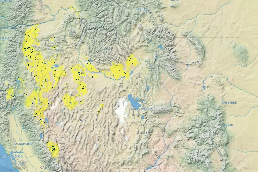 Astragalus curvicarpus Native Range