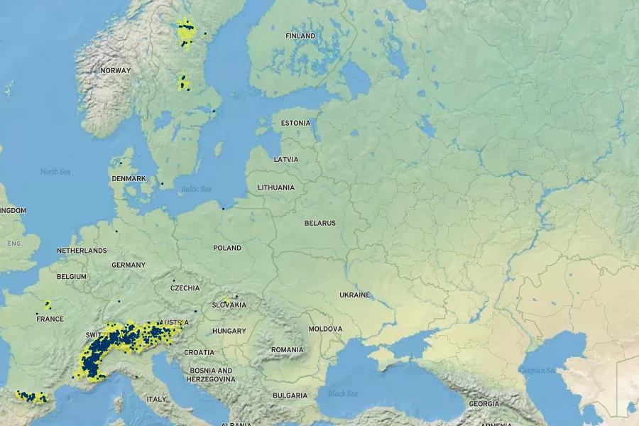 Astragalus penduliflorus Native Range