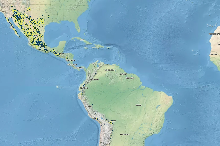 Astrolepis sinuata Native Range