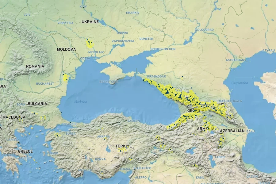 Atocion compactum Native Range