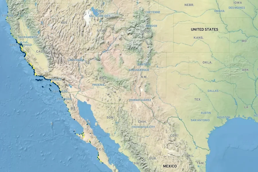 Atriplex leucophylla Native Range