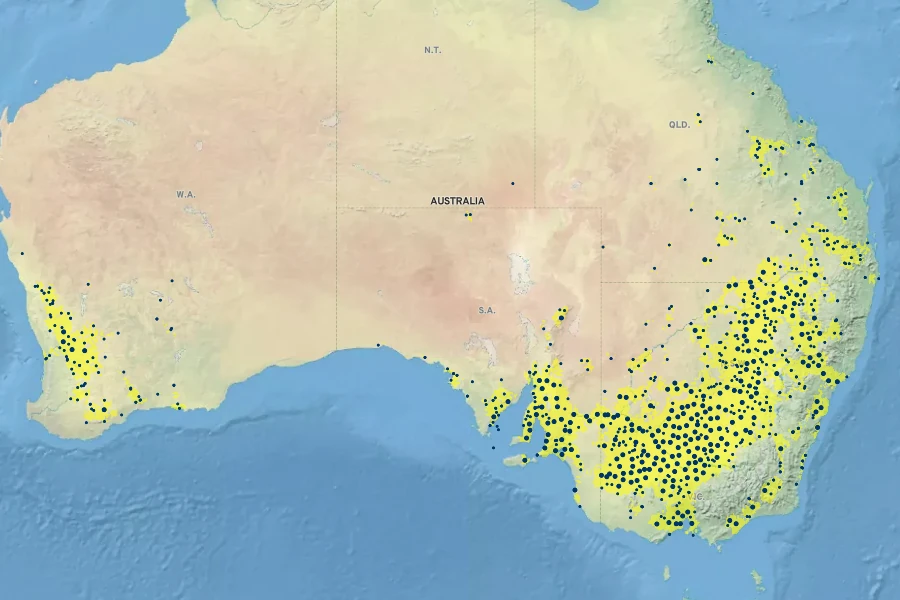 Atriplex semibaccata Native Range