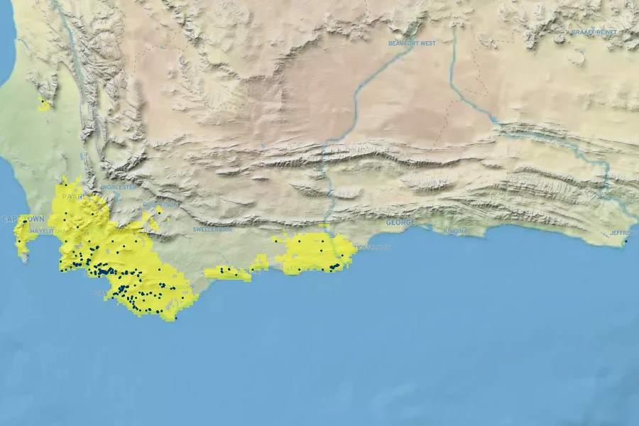 Aulax umbellata Native Range