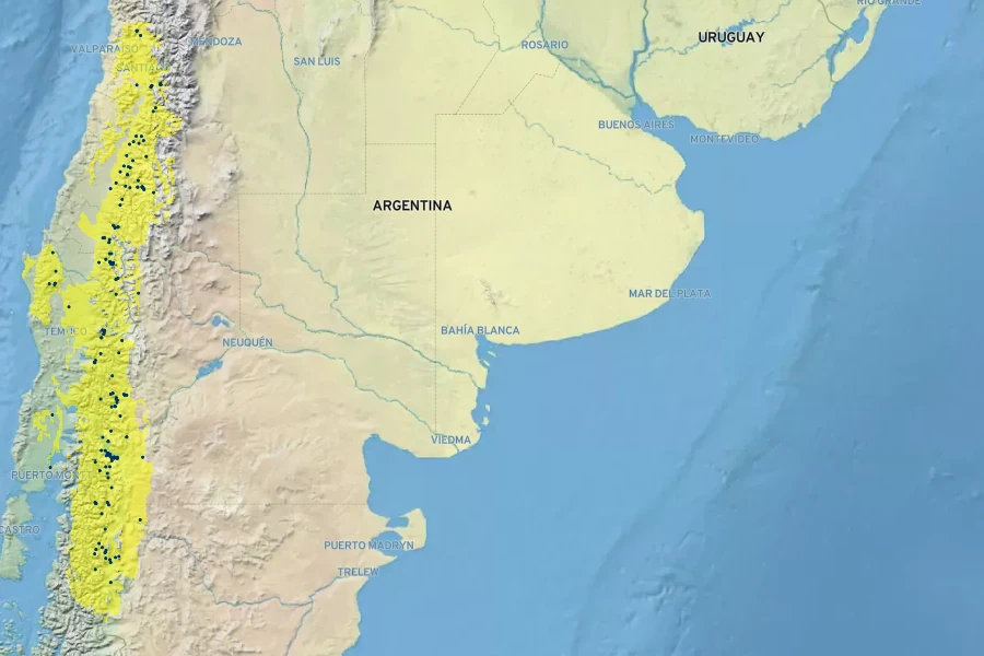 Austrocedrus chilensis Native Range