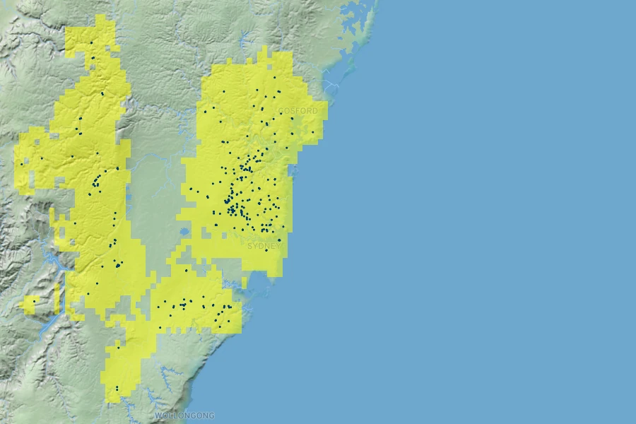 Austromyrtus tenuifolia Native Range