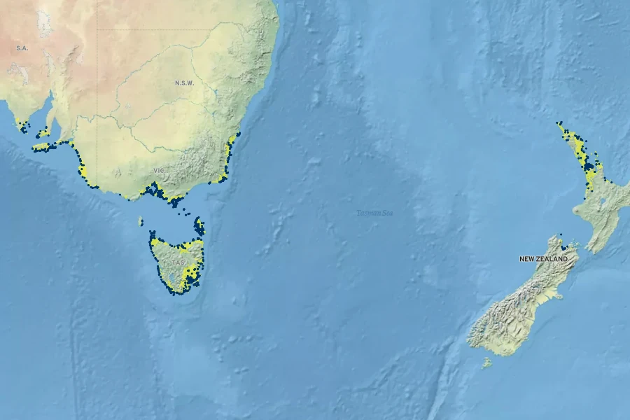 Austrostipa stipoides Native Range