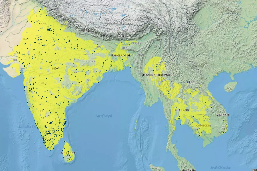 Azadirachta indica Native Range