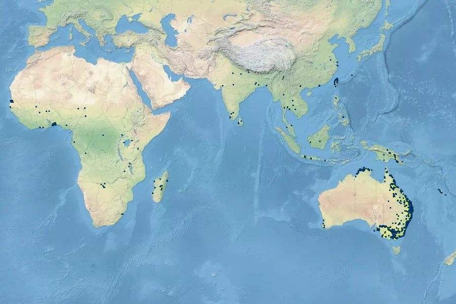 Azolla pinnata Native Range