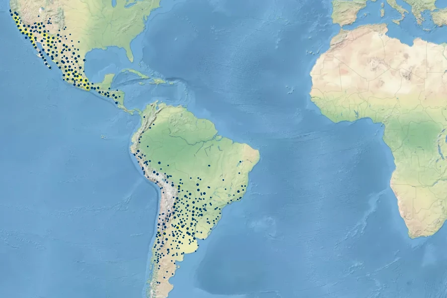 Baccharis salicifolia Native Range