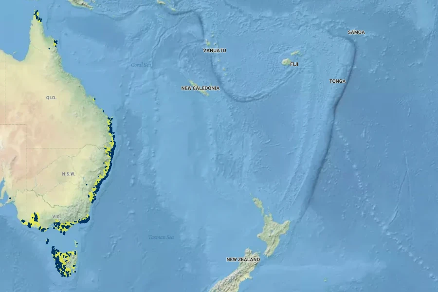 Baloskion tetraphyllum Native Range