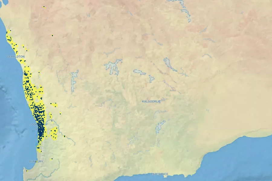 Banksia menziesii Native Range