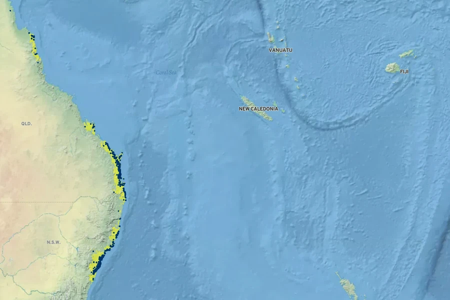 Banksia robur Native Range