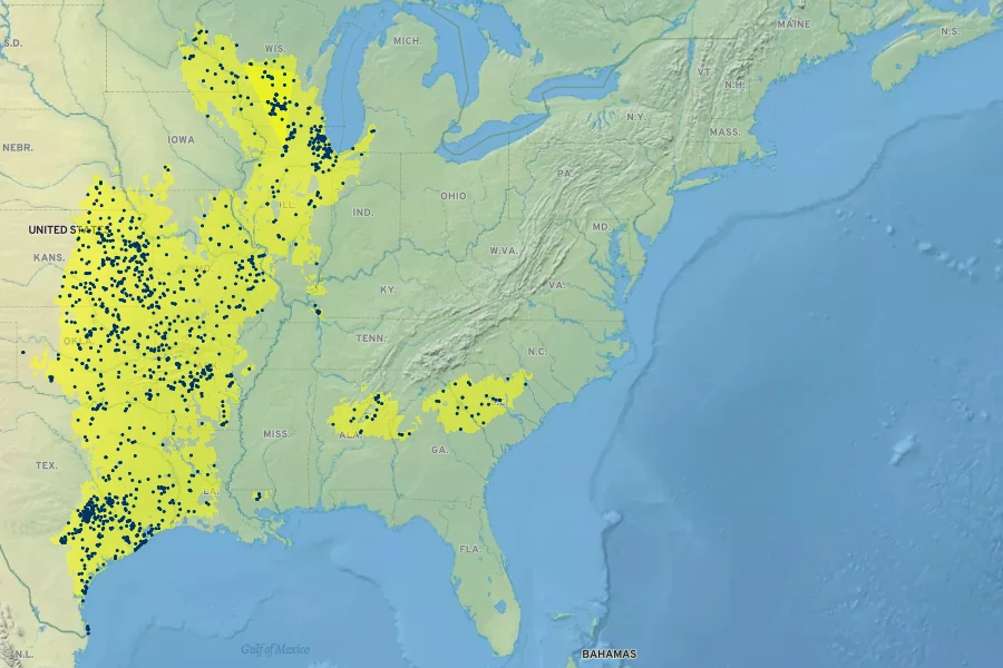 Baptisia bracteata Native Range