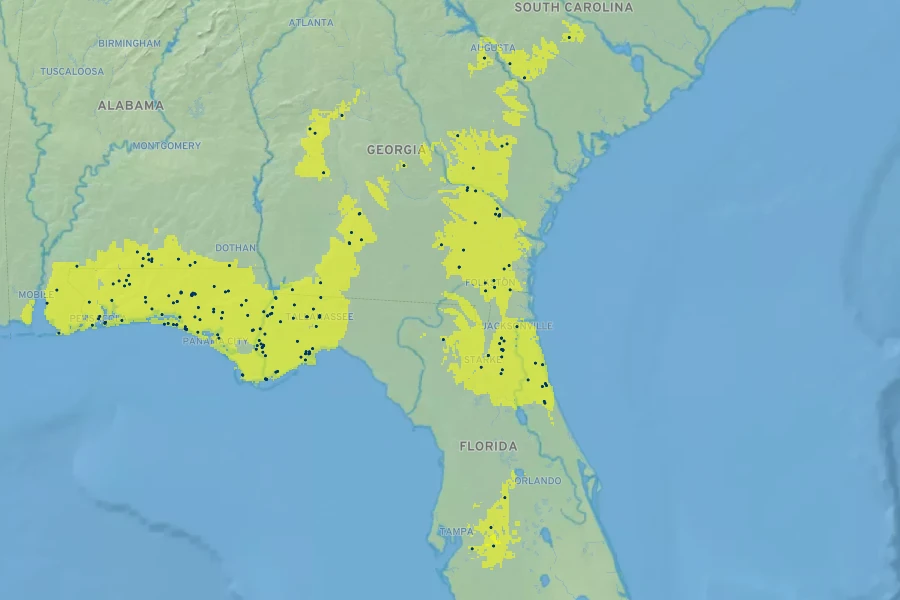 Baptisia lanceolata Native Range