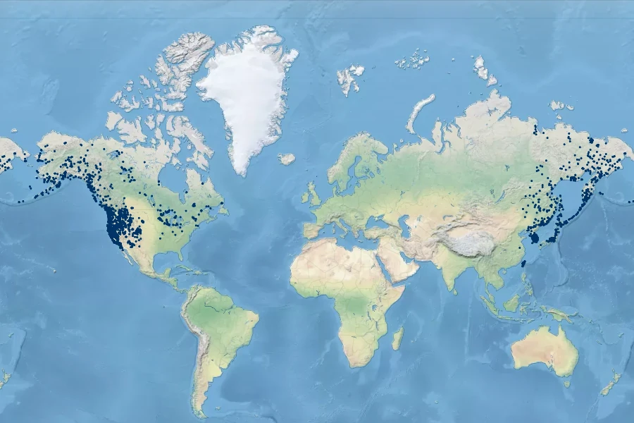 Barbarea orthoceras Native Range